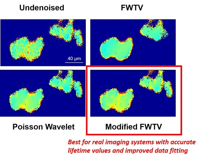 Comparison of denoising results on time-gated FLIM